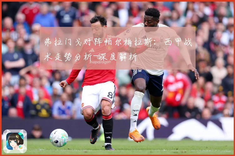弗拉门戈对阵帕尔梅拉斯：西甲战术走势分析-深度解析