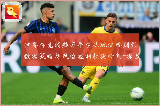 世界杯竞猜赔率平台从玩法规则到数据策略与风险控制数据研判-深度解析