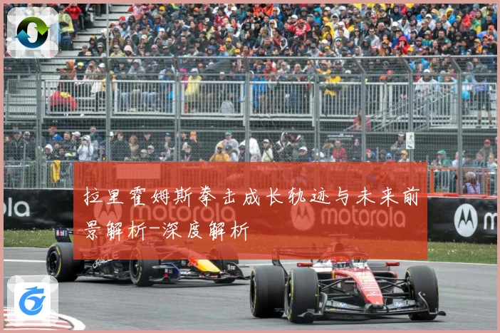 拉里霍姆斯拳击成长轨迹与未来前景解析-深度解析